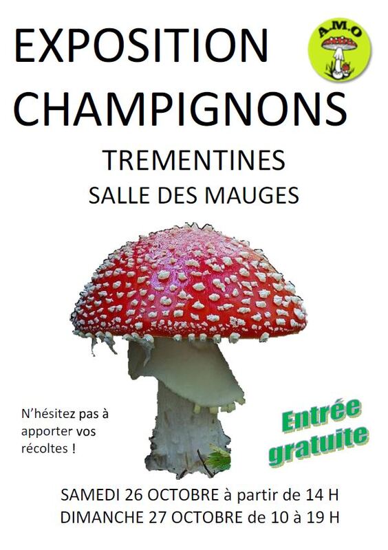 Exposition de champignons